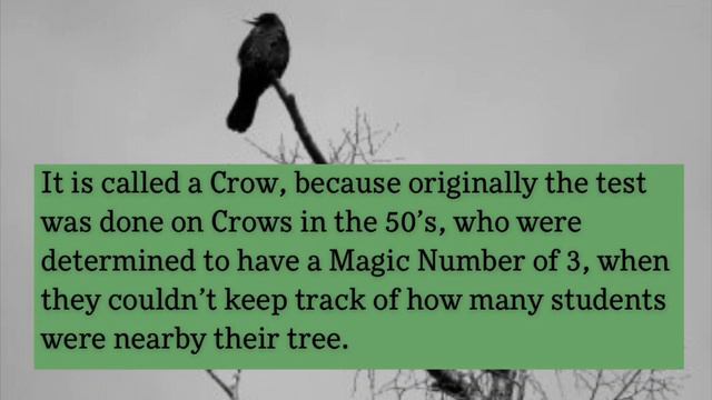 George Miller - Memory Span - Magic Number - Crow Digit Test - and Concept Formation смотреть онлайн