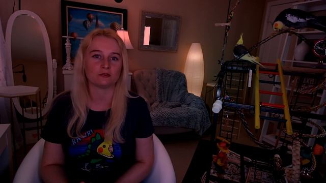 ЧТО ПОЛОЖИТЬ В ПОДДОН КЛЕТКИ | ТЕСТИРУЮ НАПОЛНИТЕЛИ ДЛЯ ПОПУГАЕВ смотреть онлайн