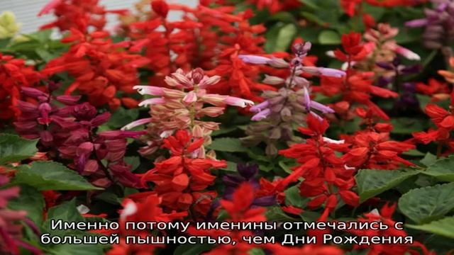 Именины имени 23 сентября: у мужчин, женщин, мальчиков и девочек по православному календарю смотреть онлайн