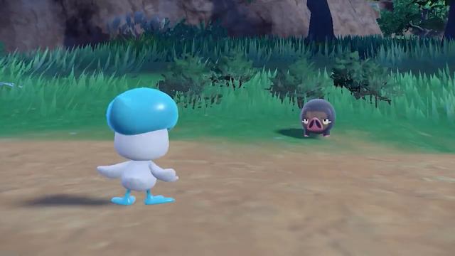 Will Pokemon Let's Go Wooper & Togepi be the NEXT Pokemon Games? смотреть онлайн