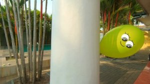 Разноцветные воздушные шарики | Песня Для детей Семья пальчиков Шарик где же ты | Учим цвета