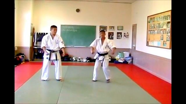 Sabaki- Cha obi no kata (茶帯の型) смотреть онлайн