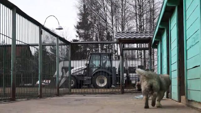 Несравненнй От Укладникова и Неповторимый от Укладникова 2 мес. 25 дн. смотреть онлайн