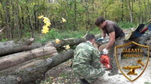 КАК ПРАВИЛЬНО ПИЛИТЬ ДЕРЕВЬЯ БЕНЗОПИЛАМИ