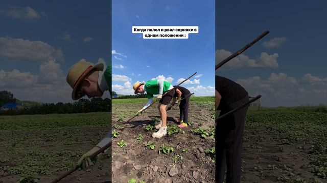 -2474235783659992164