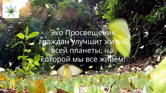 ЭкоПросвещение 