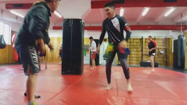 Бразильские темы по BJJ?? смотреть онлайн
