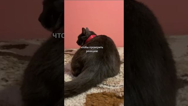 Делай То, Что Полезно