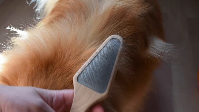 О РАСЧЕСЫВАНИИ ШПИЦА/КУПИЛА ДОРОГИЕ РАСЧЕСКИ/ смотреть онлайн