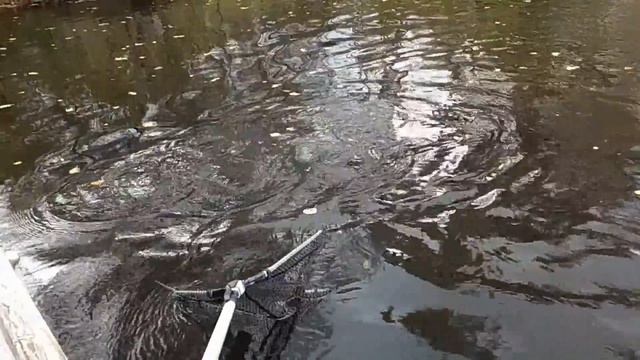 Рыбалка в Финляндии с Простором смотреть онлайн