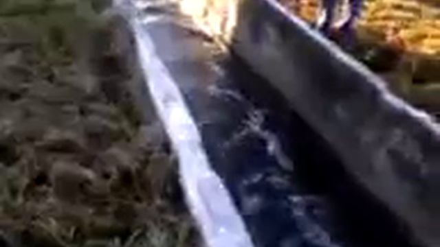 Водоканал. Камера вторичных отстойников (Старый Оскол) смотреть онлайн