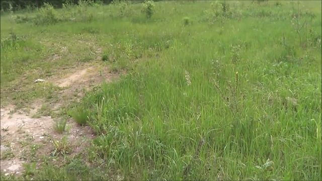 ВОДООХРАННЫЕ ЗОНЫ в Европе и России! Почувствуй разницу. Нарушаю Водный Кодекс. Петиция смотреть онлайн