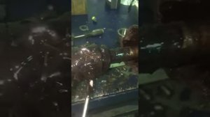 Вибрация при разгоне polo sedan