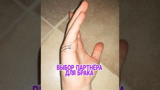 Линия брака: выбор партнёра для Брака смотреть онлайн