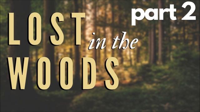 Lost In The Woods [PART 2]