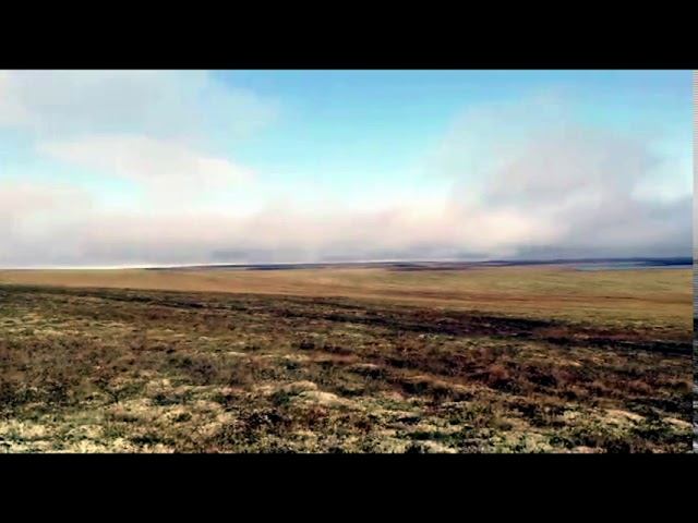 Ежик в тумане смотреть онлайн