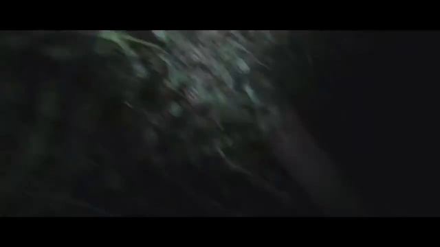 Фильм Ужасов "Мёртвый лес" смотреть онлайн