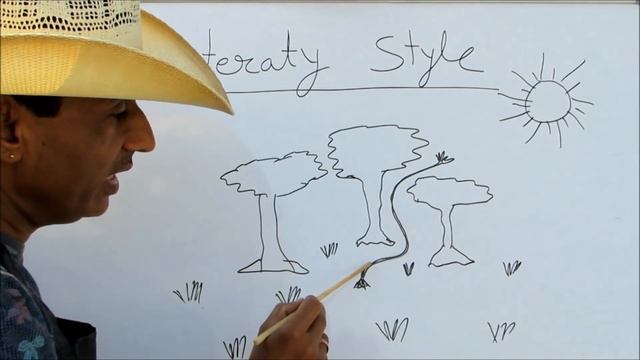 Hibiscus Bonsai/How to make Literati Style Bonsai/Bonsai Hunter смотреть онлайн