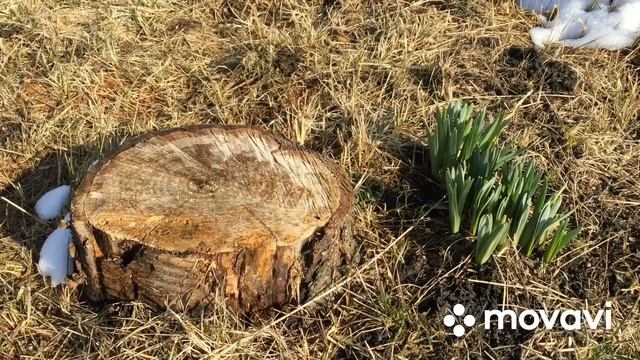На дачу! Ставрополь Юг России март 2022 смотреть онлайн