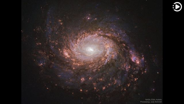 APOD: 2020-03-17 - M77: Spiral Galaxy with an Active Center (Narrated by Amy) смотреть онлайн