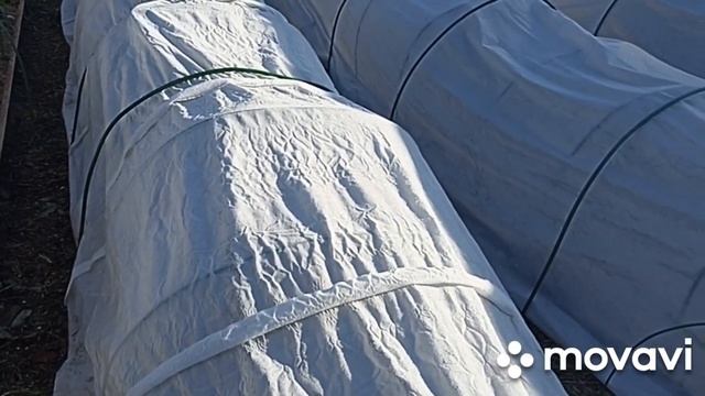 МОРОЗ НАКРЫЛ // ПРОЩАЙ КЛУБНИКА \\ ВАЦАП 8-915-245-81-59 ТОЛЬКО ПИСЬМЕННО!!! смотреть онлайн