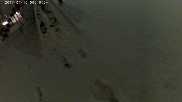 Видео с новой камеры смотреть онлайн