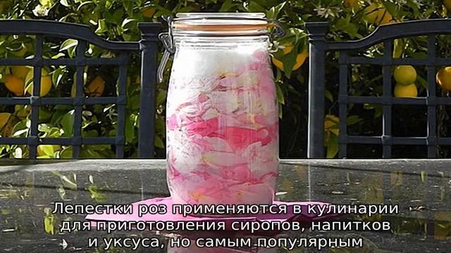Как сохранить лепестки роз