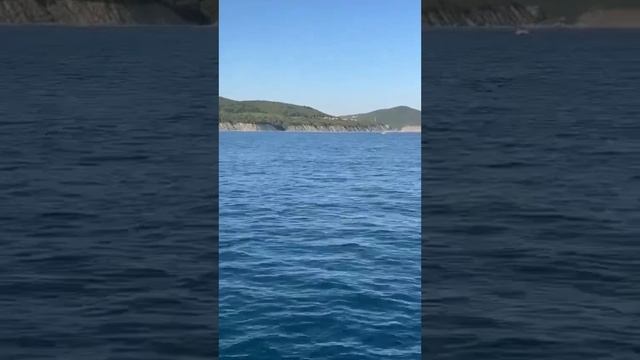 Архипо-Осиповка август 2023 года ? Прогулки в открытое море ? смотреть онлайн