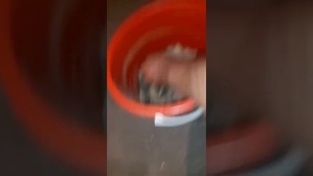 Реакция металлодетектора на образцы камней смотреть онлайн