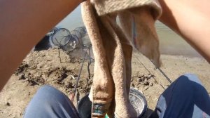 Лещ на фидер. Рыбалка на обрывах в Омске 2020. Река Иртыш #OmskFish