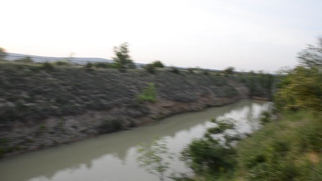 Тайган сафари парк львов в Крыму смотреть онлайн