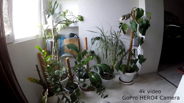 EHANG SPORTS Camera 4k vs GoPro HERO4 Camera смотреть онлайн