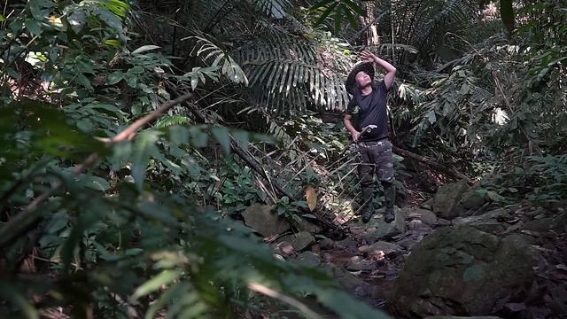 Foraging wild food in streams, Catch and cook: Survival Alone | EP.230 смотреть онлайн