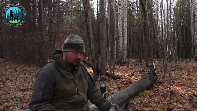 Охота с лайкой, нашли белку, дуплистое дерево и густые елки смотреть онлайн