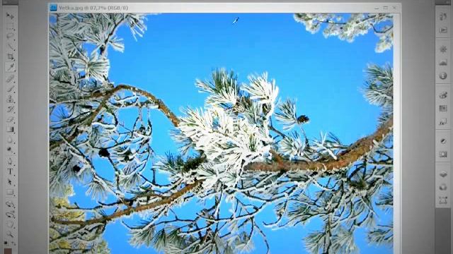 Photoshop CS4 CS5 1 Векторная и растровая графика смотреть онлайн