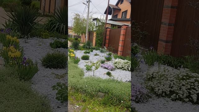 B795aadc-363d-4006-82d4-92b72d0189d0-1_all_451.mp4