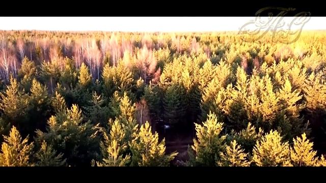 ?Минуты Таёжного счастья! Случай в тайге!