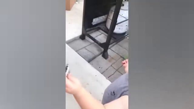 FUNNY VINE ★ Самые смешные дети и животные на ферме Funny Babies and Animals Videos YouTube смотреть онлайн