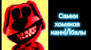 ||| Жуткие Факты ||| 3 Часть°