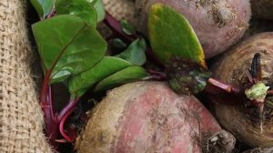 Как хранить свеклу дома зимой в квартире