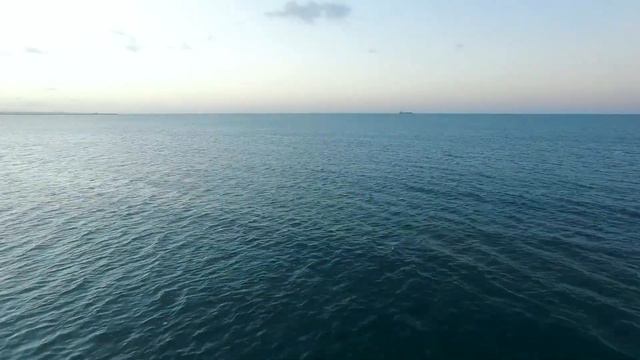 Calm Ocean смотреть онлайн
