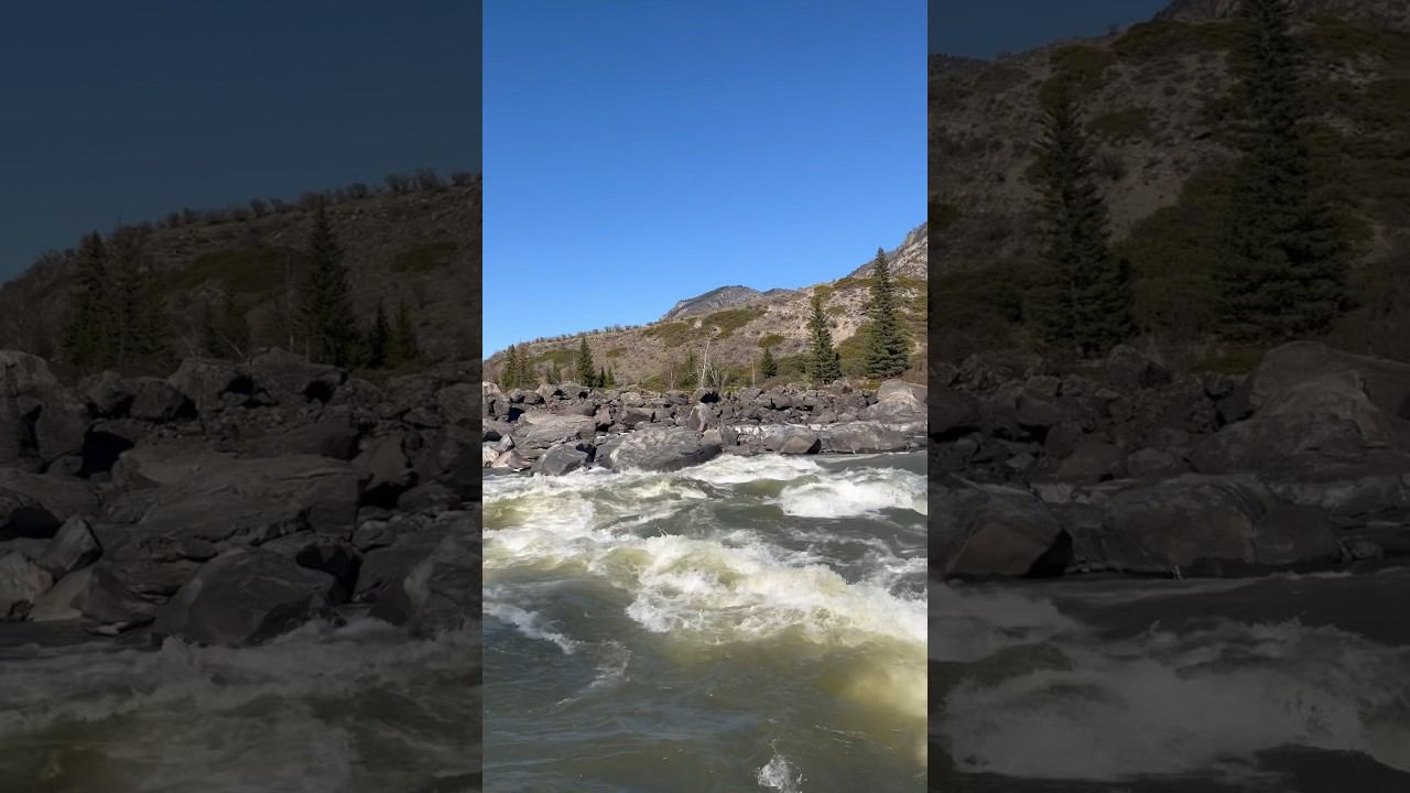 Еландинские пороги / Алтай #алтай #горы #mountains #altay #горныйалтай #катунь #пороги смотреть онлайн