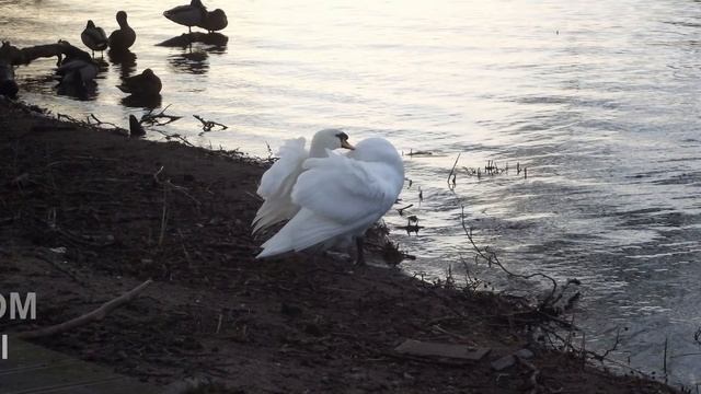 FUJIFILM FINEPIX S1800 - ZOOM-TEST (photos) - english & polski смотреть онлайн