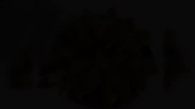 Sedum, Sempervivum, Orostachys Succulents Slideshow Collection #2 смотреть онлайн