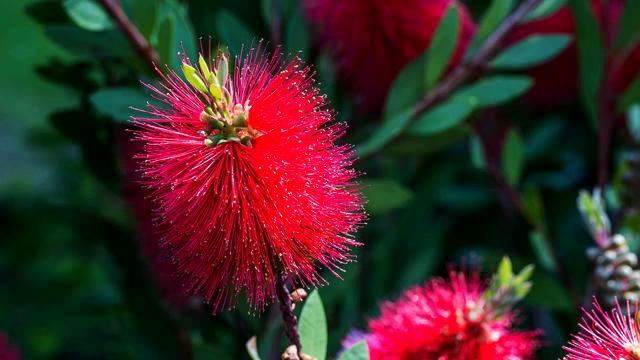 Слушать новую русскую музыку про любовь онлайн смотреть онлайн