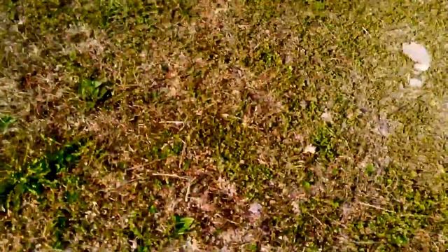 Обзор автомобиля ВАЗ 2131 с точки зрения школьника. смотреть онлайн