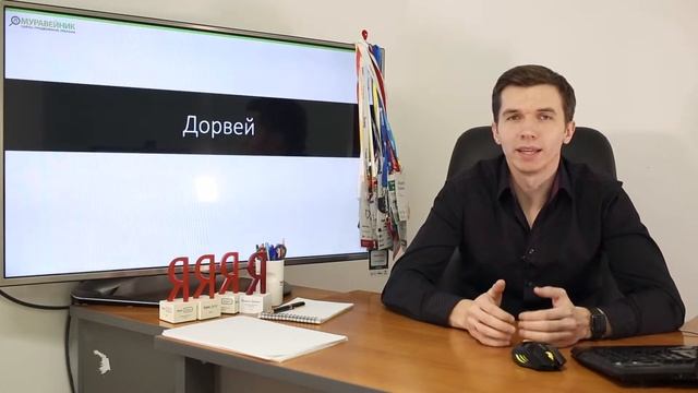 Что такое дорвей? / SEO словарь смотреть онлайн