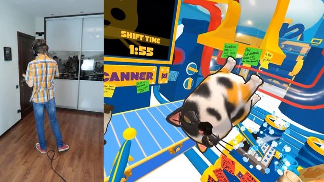 КОТЫ-МУТАНТЫ В ВИРТУАЛЬНОЙ РЕАЛЬНОСТИ! | Cat Sorter VR