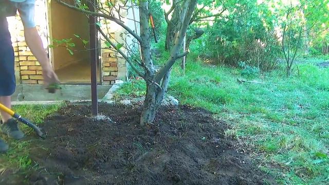 Моя дача 30 смотреть онлайн