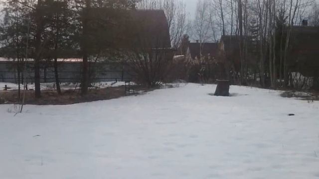 участок Электрогорск,СНТ Дальний смотреть онлайн